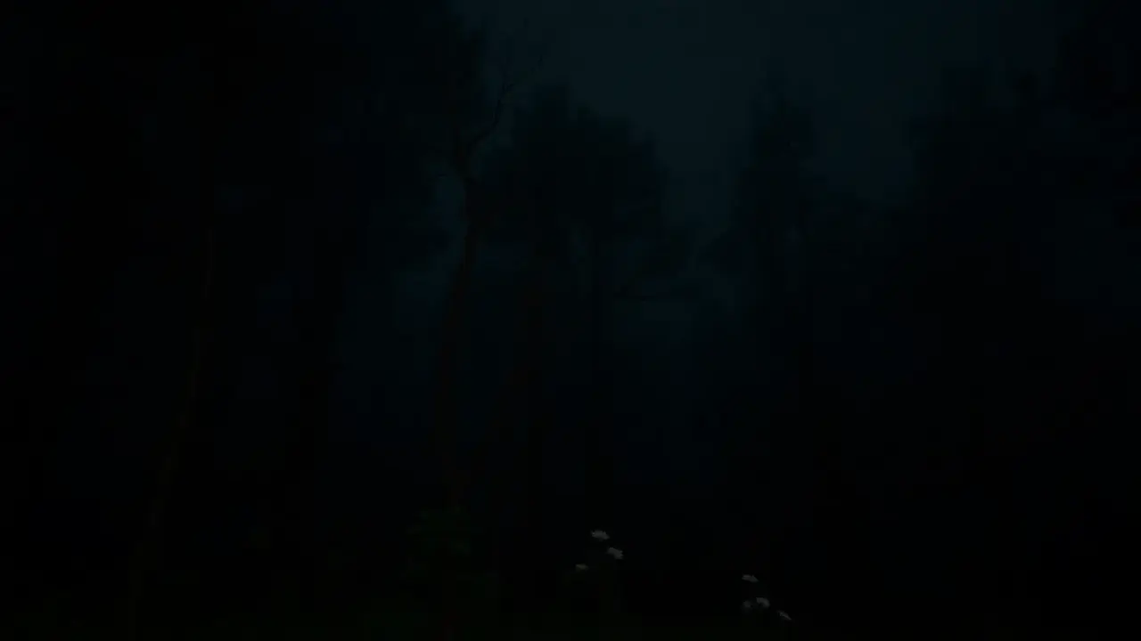 The Silent Cosmos: Why Predators Lurk in the Shadows